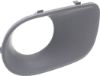 Picture of Fog Light Trim