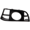 Picture of Fog Light Trim