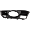 Picture of Fog Light Trim