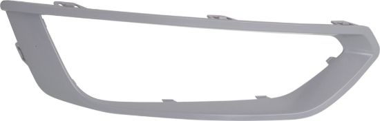 Picture of Fog Light Trim