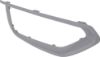 Picture of Fog Light Trim