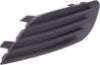 Picture of Fog Light Cover