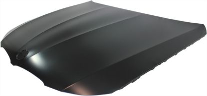 Picture of Hood