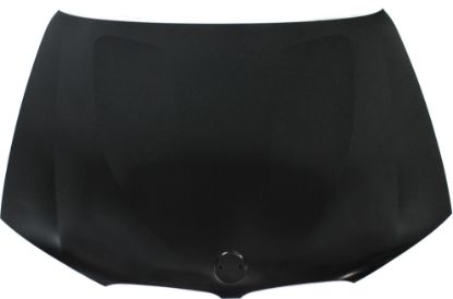 Picture of Hood
