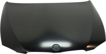 Picture of Hood