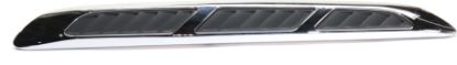 Picture of Hood Molding