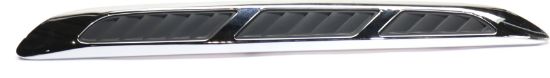 Picture of Hood Molding
