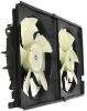 Picture of Cooling Fan Assembly