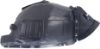 Picture of Fender Liner