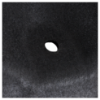 Picture of Engine Splash Shield