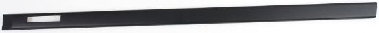 Picture of Door Molding and Beltlines