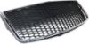 Picture of Bumper Grille