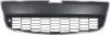 Picture of Bumper Grille
