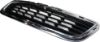 Picture of Bumper Grille