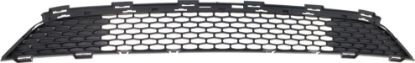 Picture of Bumper Grille