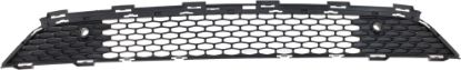Picture of Bumper Grille