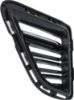 Picture of Bumper Grille