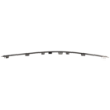 Picture of Bumper Trim