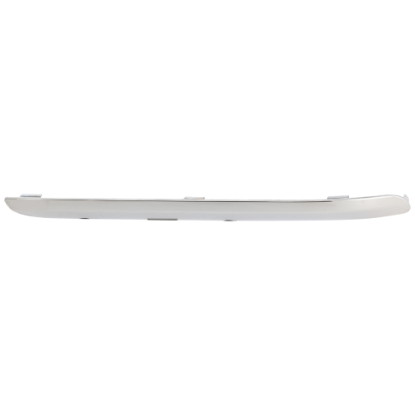 Picture of Bumper Trim