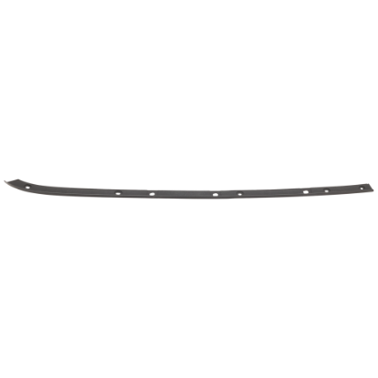 Picture of Bumper Trim