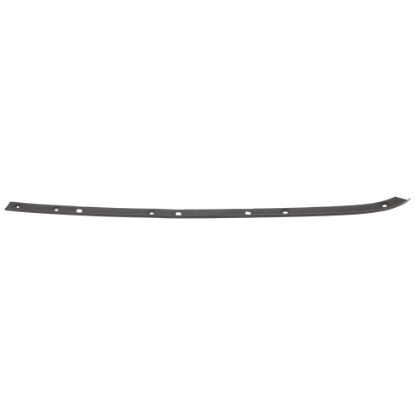 Picture of Bumper Trim