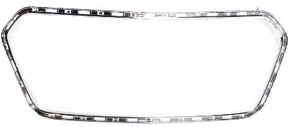 Picture of Grille Trim