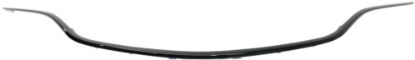 Picture of Grille Trim