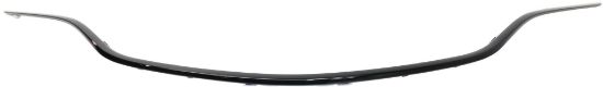 Picture of Grille Trim