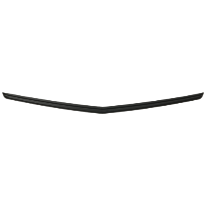 Picture of Grille Trim