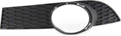 Picture of Fog Light Trim