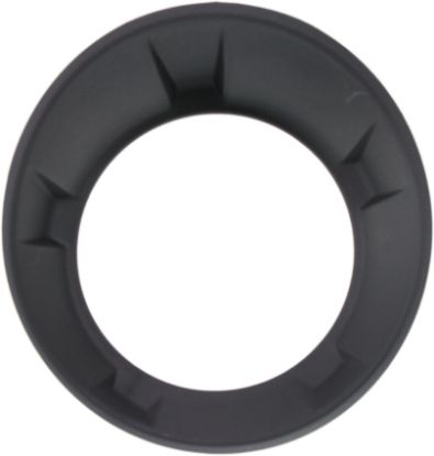 Picture of Fog Light Trim