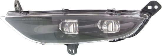 Picture of Fog Light