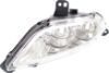 Picture of Fog Light
