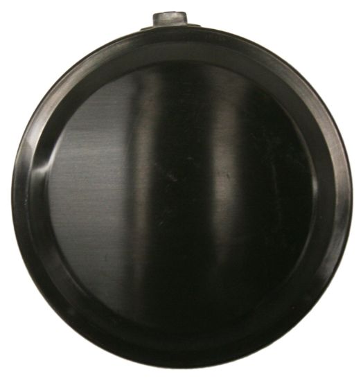 Picture of Fog Light Cover