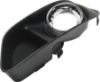 Picture of Fog Light Trim