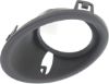 Picture of Fog Light Trim