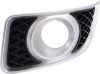 Picture of Fog Light Trim
