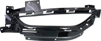 Picture of Fog Light Trim