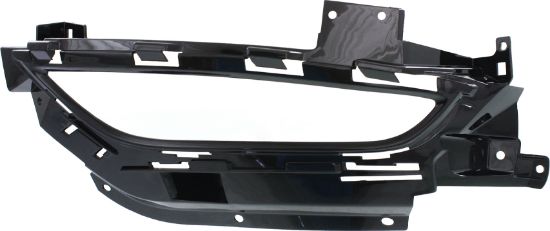 Picture of Fog Light Trim