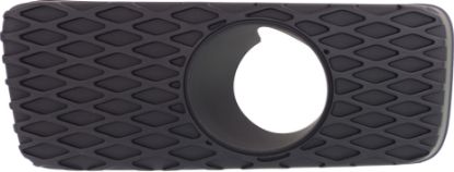 Picture of Fog Light Trim