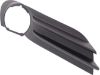 Picture of Fog Light Trim