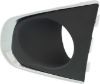 Picture of Fog Light Trim