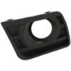 Picture of Fog Light Trim
