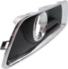 Picture of Fog Light Trim
