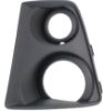 Picture of Fog Light Trim