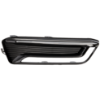 Picture of Fog Light Cover