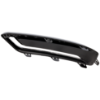 Picture of Fog Light Cover