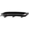 Picture of Fog Light Cover