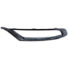 Picture of Bumper Trim