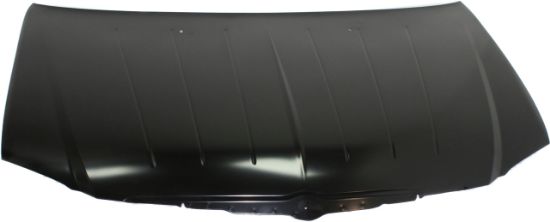 Picture of Hood